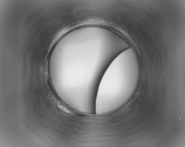 X0000078841366200611130947