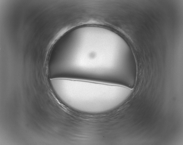 X0000078841367200611130947
