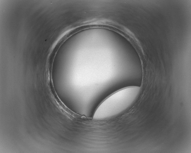 X0000078841368200611130947