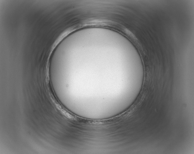 X0000078841370200611130947
