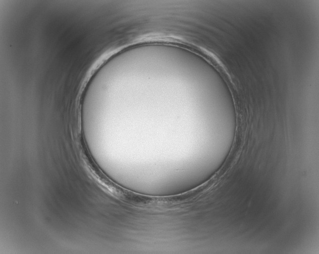 X0000078841371200611130947