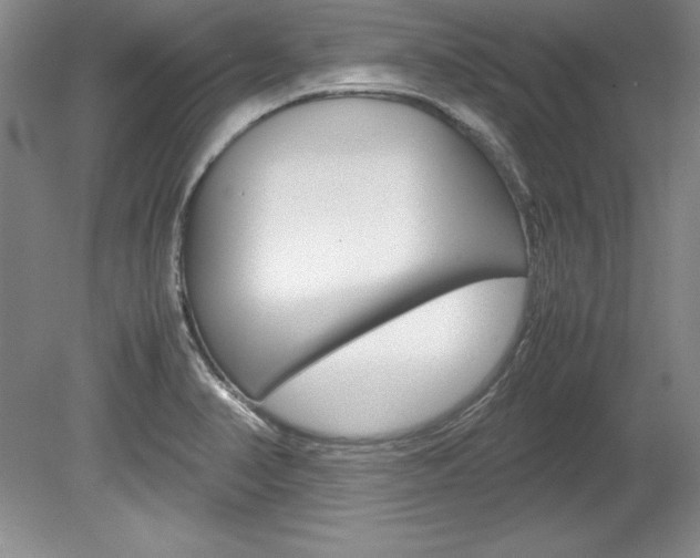 X0000078841374200611130946
