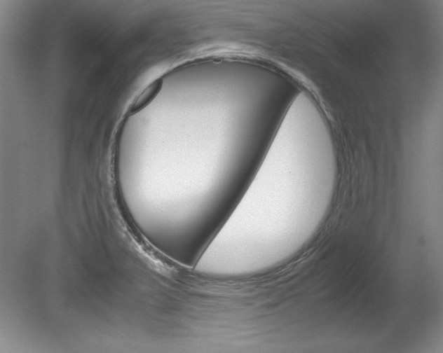 X0000078841375200611130946