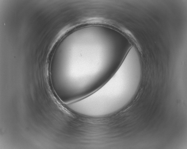 X0000078841376200611130946