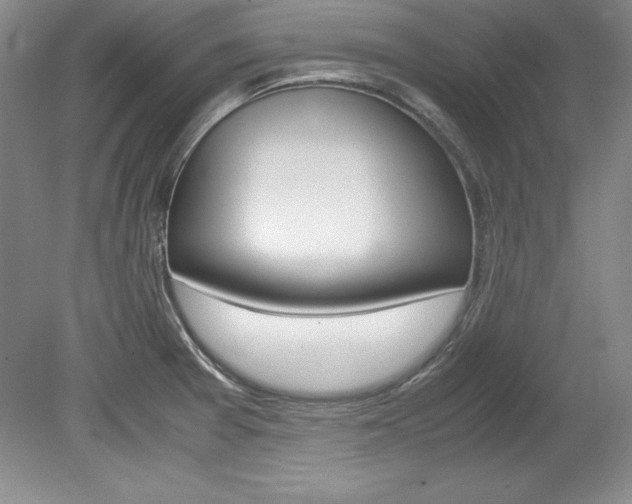 X0000078841377200611130946