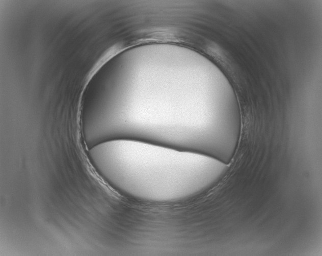 X0000078841378200611130946