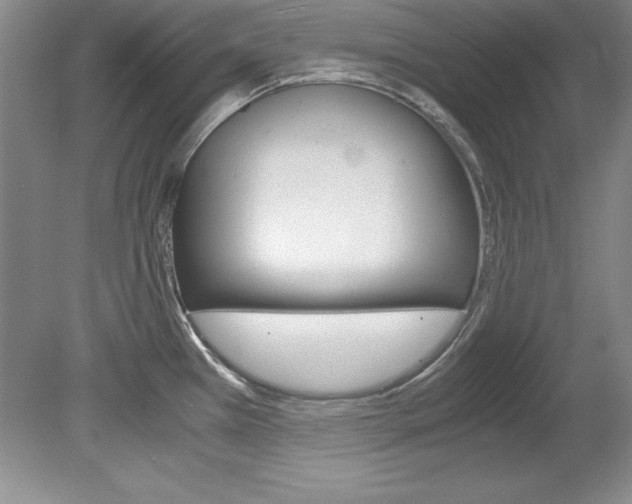 X0000078841385200611130946
