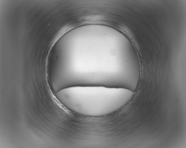 X0000078841386200611130946