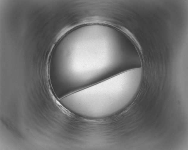 X0000078841388200611130946