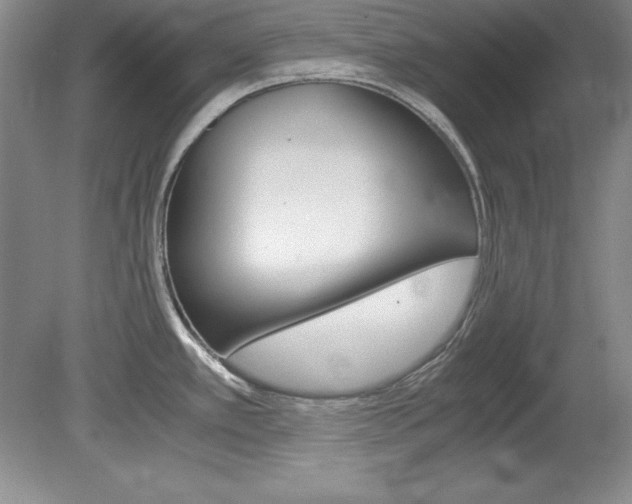 X0000078841389200611130946