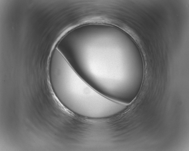 X0000078841392200611130946