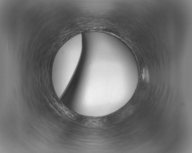 X0000078841396200611130945