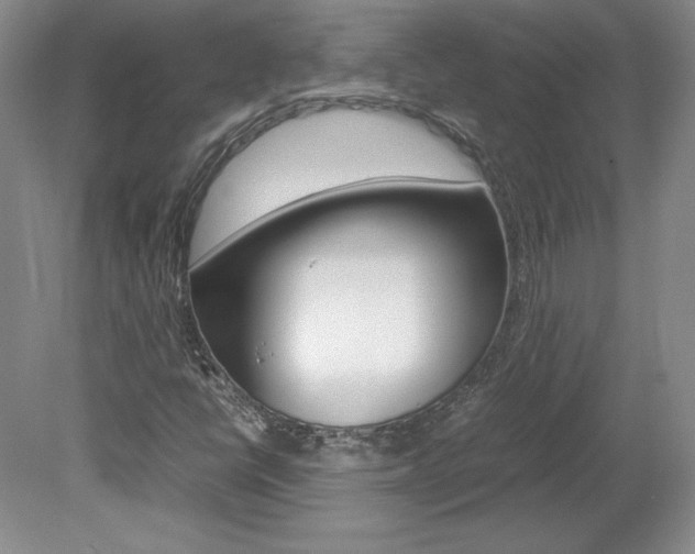 X0000078841398200611130945