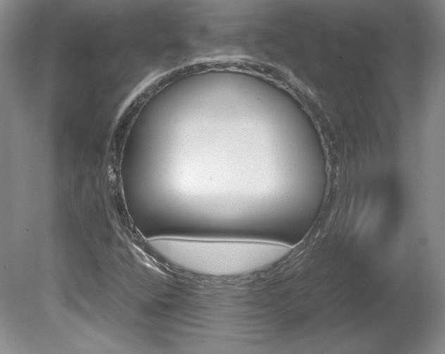 X0000078841400200611130946