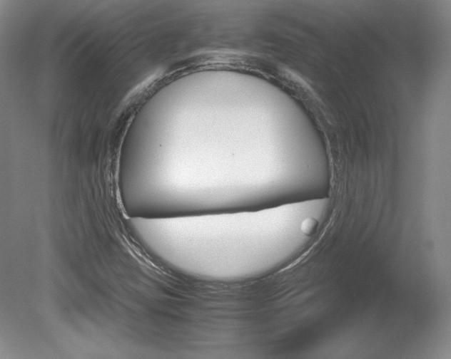 X0000078841403200611130946