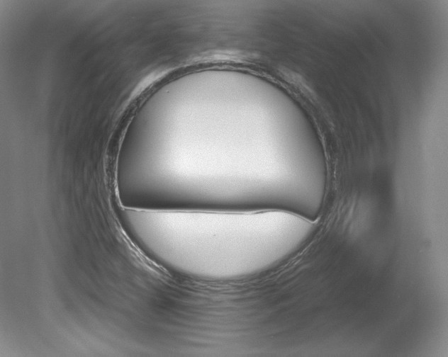 X0000078841404200611130946