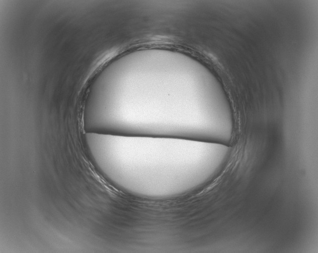 X0000078841405200611130946