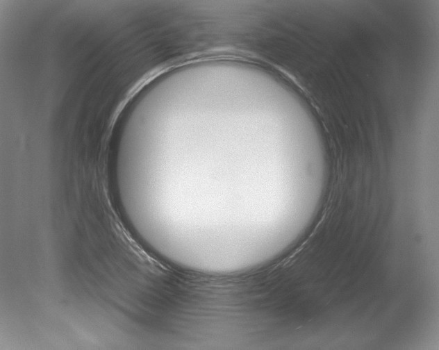X0000078841410200611130946