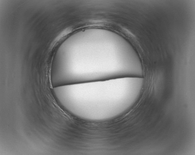 X0000078841411200611130946