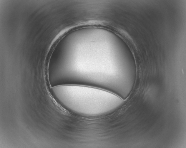 X0000078841412200611130946