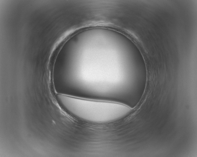 X0000078841414200611130946