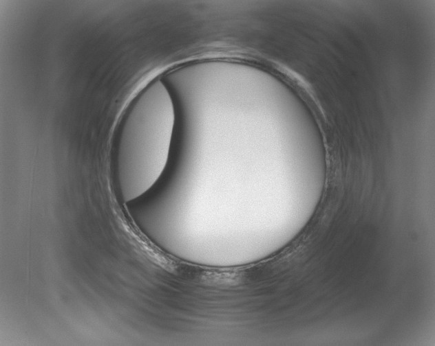 X0000078841415200611130946
