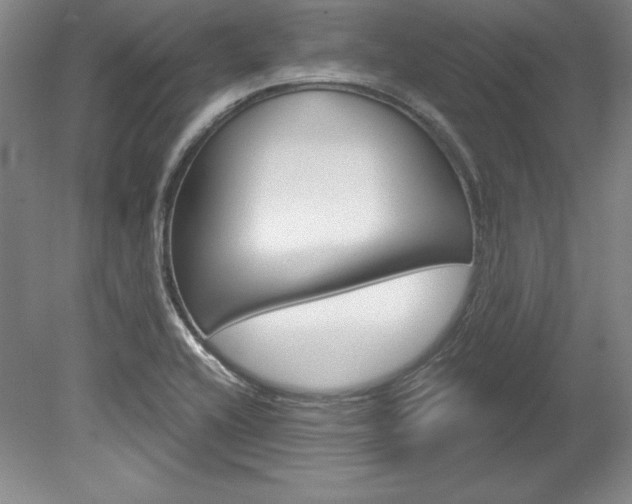 X0000078841416200611130946