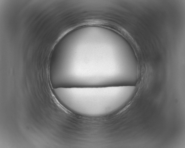 X0000078841417200611130946