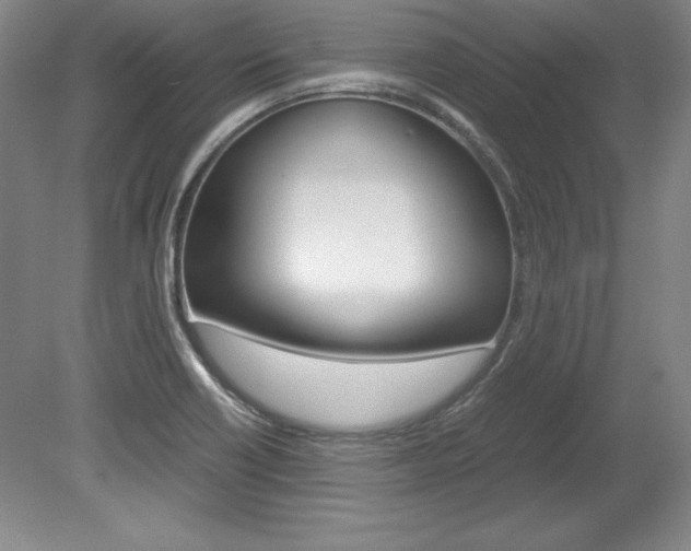 X0000078841418200611130946