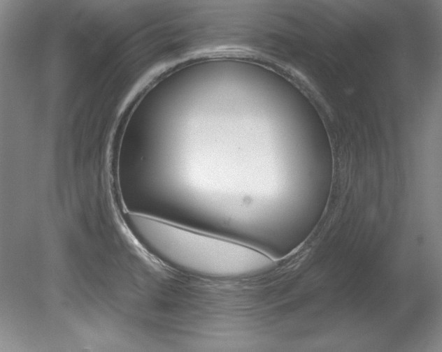 X0000078841422200611130946