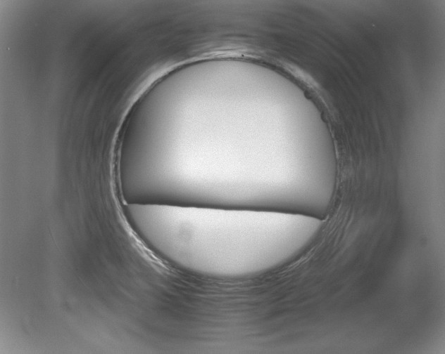 X0000078841423200611130946