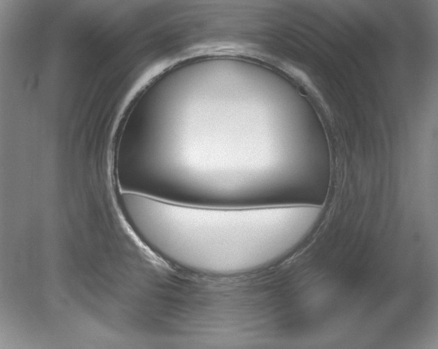 X0000078841424200611130946