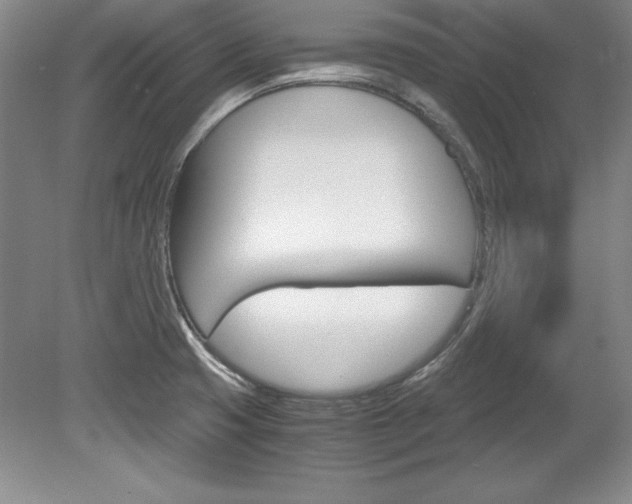 X0000078841425200611130946