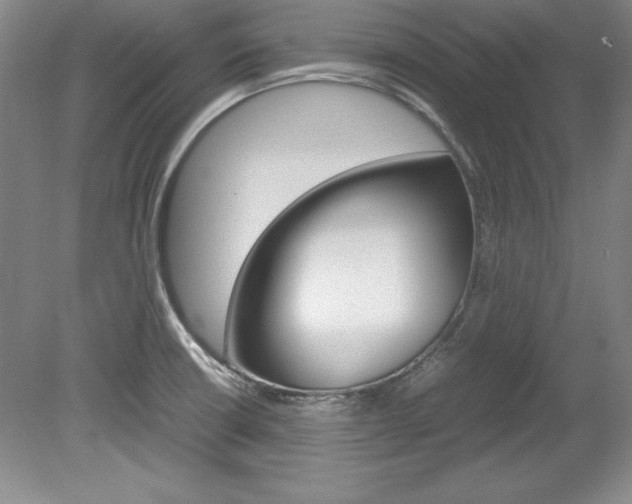 X0000078841426200611130946