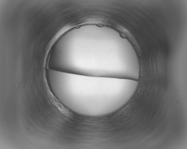X0000078841427200611130946