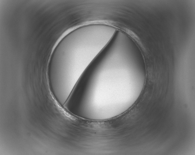 X0000078841428200611130946