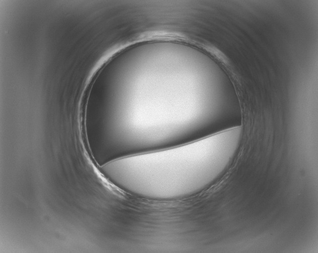 X0000078841430200611130946