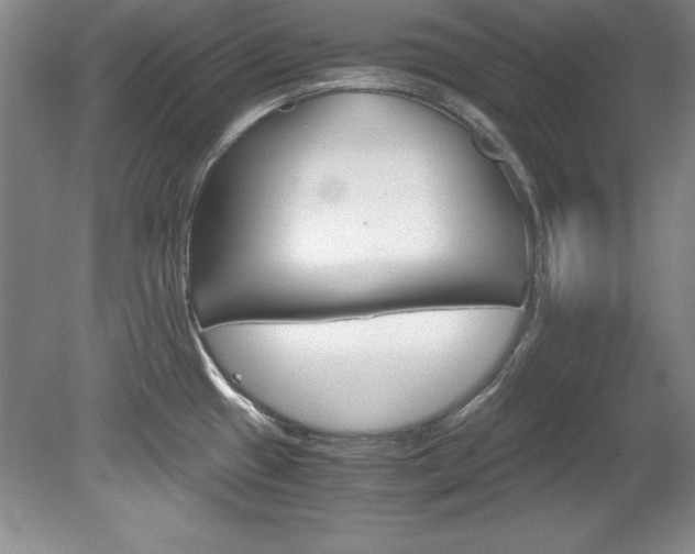 X0000078841433200611130946