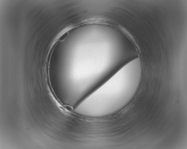 X0000078841434200611130946