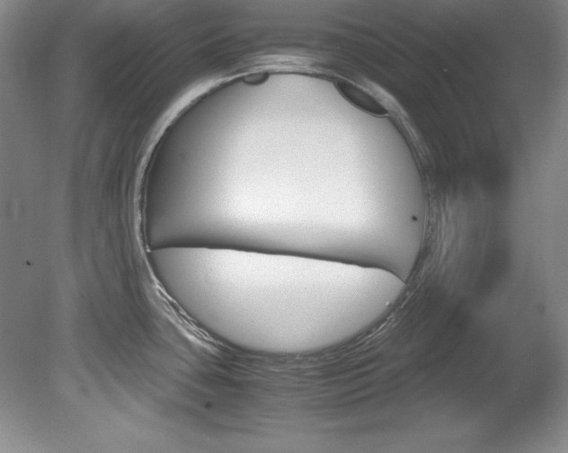 X0000078841435200611130946