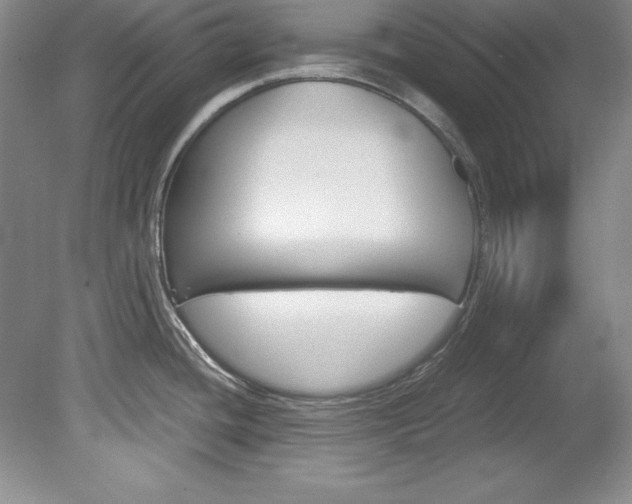 X0000078841436200611130946