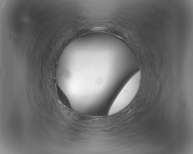 X0000078841441200611130945