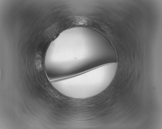 X0000078841442200611130945