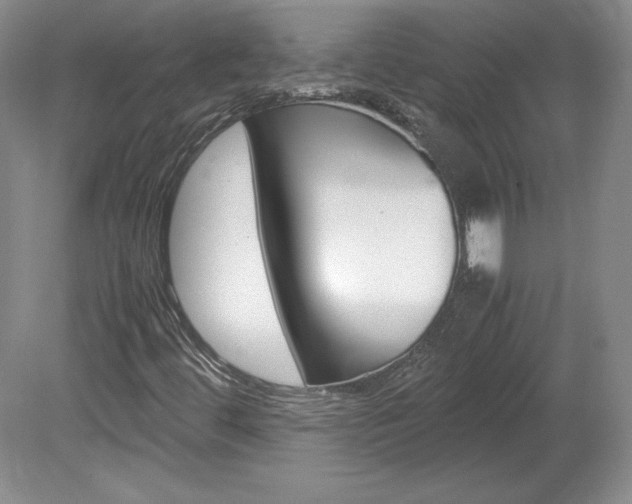 X0000078841444200611130945