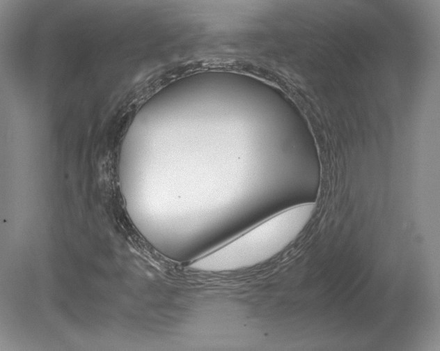 X0000078841445200611130945