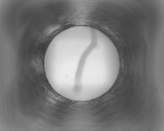 X0000078841446200611130945