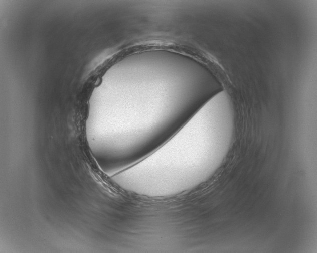 X0000078841448200611130945