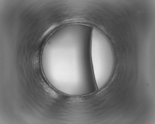 X0000078841450200611130945
