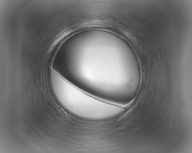 X0000078841453200611130945