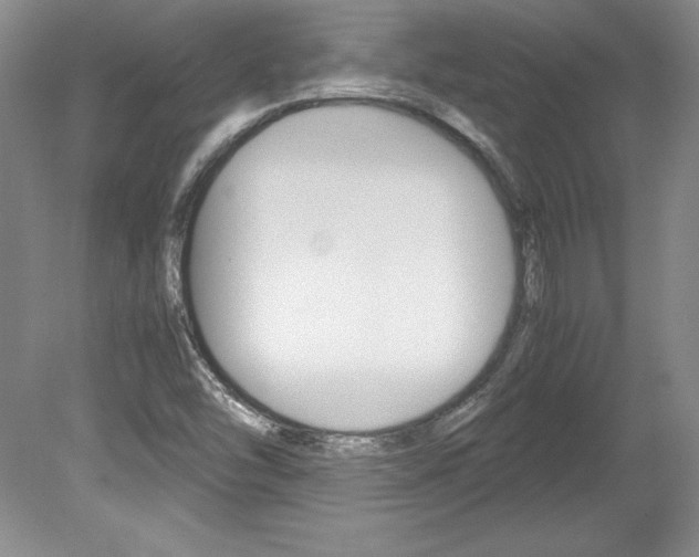 X0000078841454200611130945